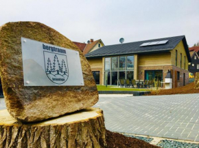 Bergtraum Braunlage im Harz, 17 Gäste, Sauna, Hottub-Pool
